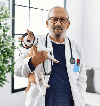 wild-belly-dog-probiotic-creator-ross-parker