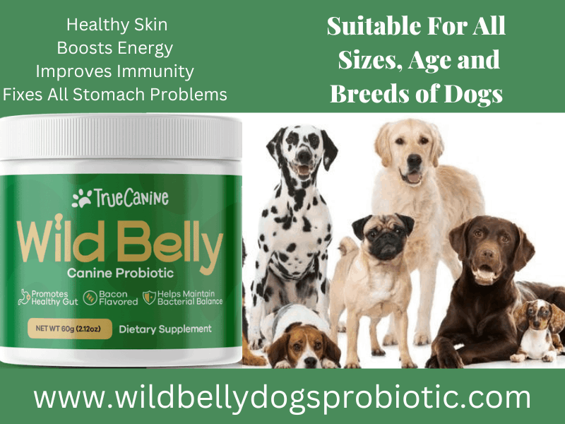 wild-belly-dog-probiotic-supplement